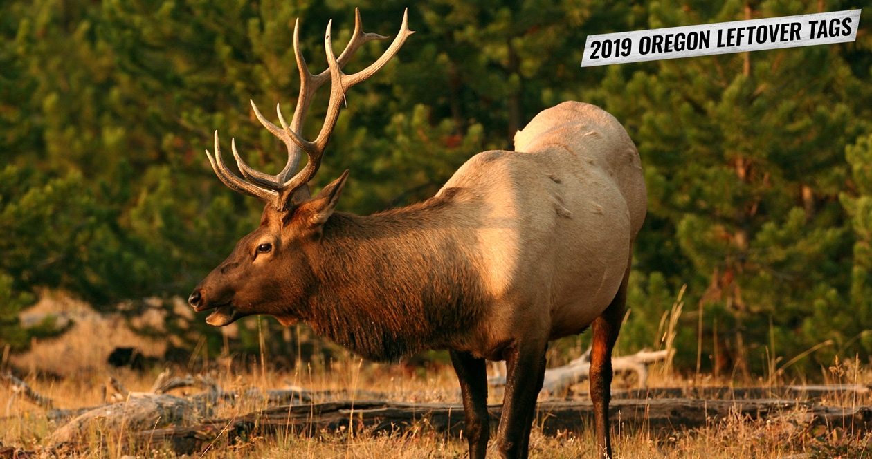 2019 Oregon leftover hunting tag list // GOHUNT. The Hunting Company