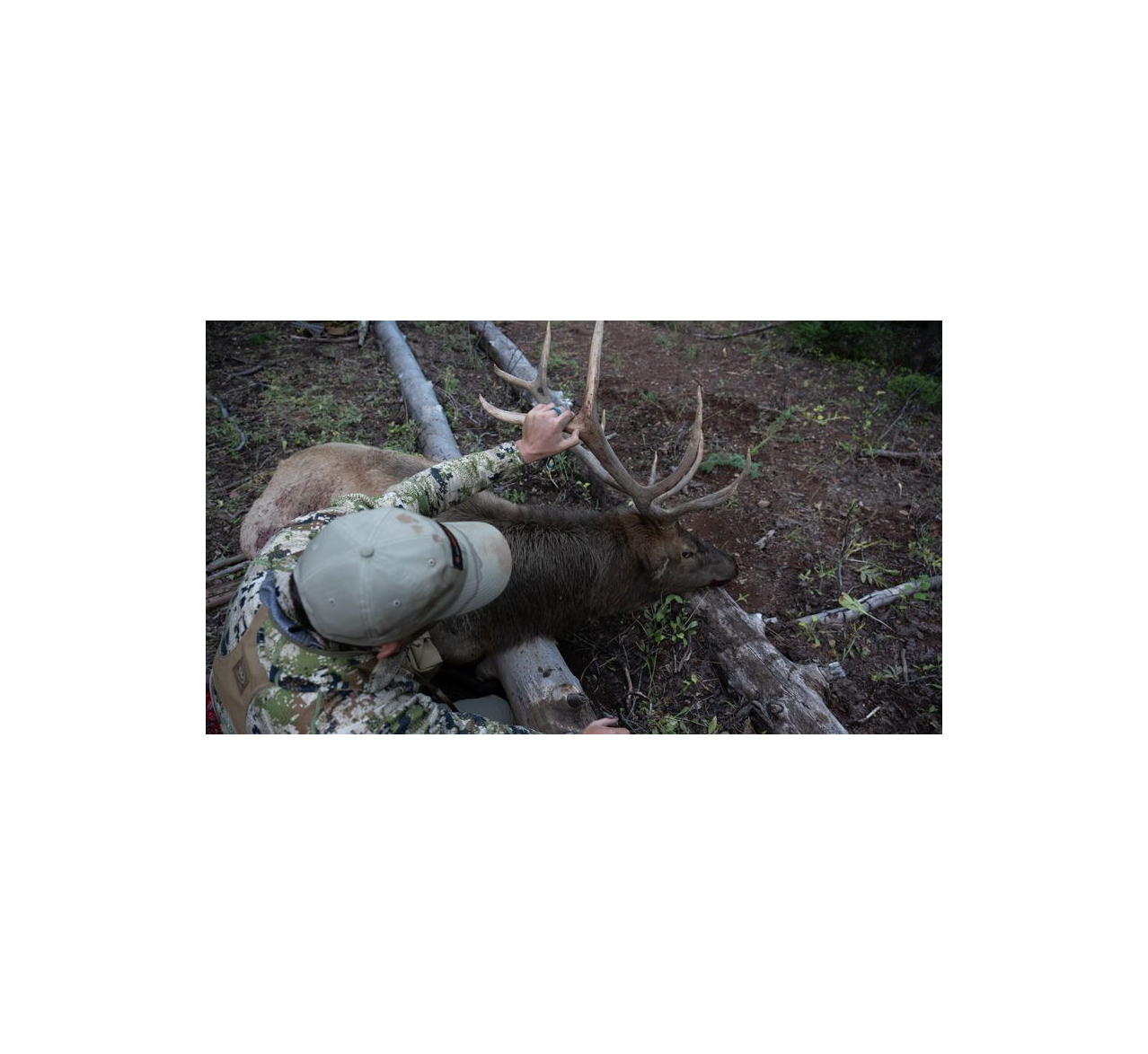 Application strategy roundup Wyoming and Arizona // GOHUNT. The