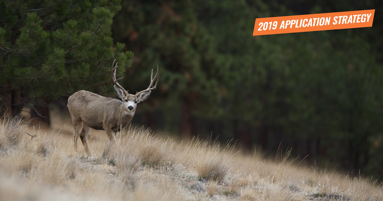 APPLICATION STRATEGY 2019 Montana Deer // GOHUNT. The Hunting Company