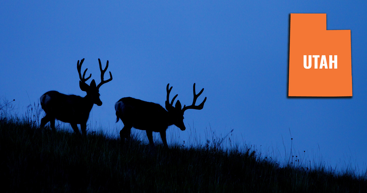 How to look up your Utah bonus points and preference points // GOHUNT. The Hunting Company