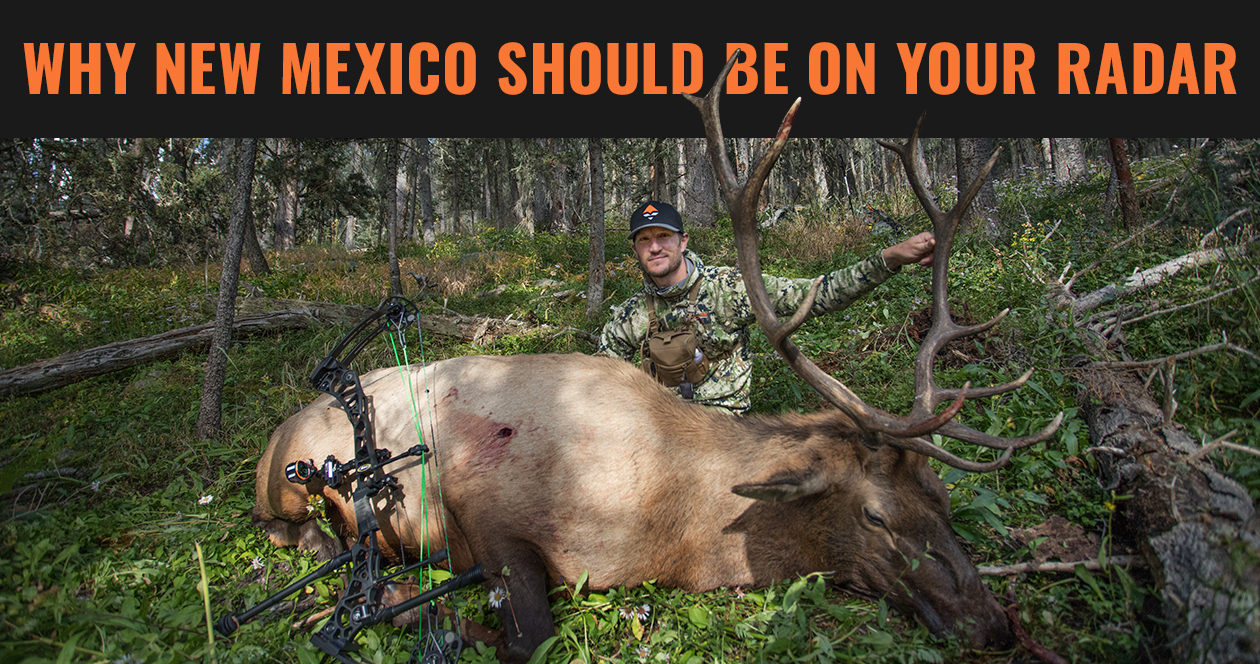 Finding opportunities to hunt in New Mexico this year // GOHUNT. The