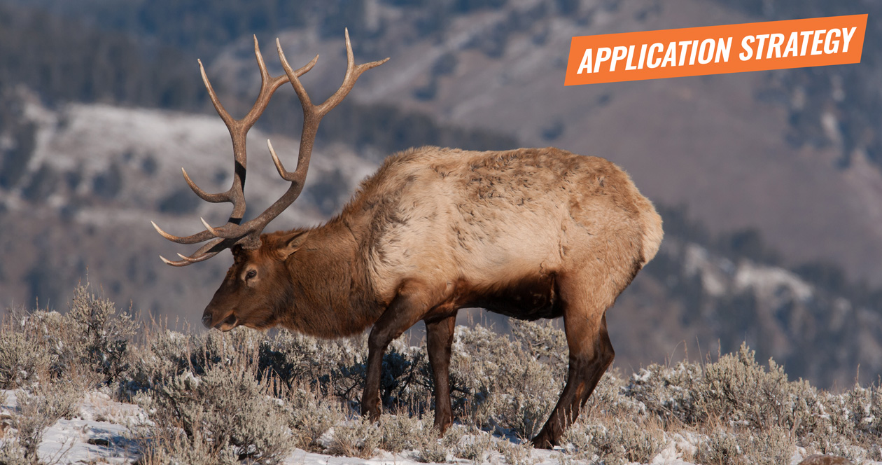 APPLICATION STRATEGY 2018: Colorado Elk and Antelope // GOHUNT. The ...