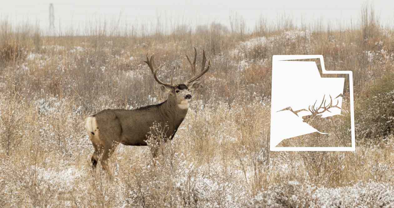 The Utah Division of Wildlife Resources wants to hear from you
