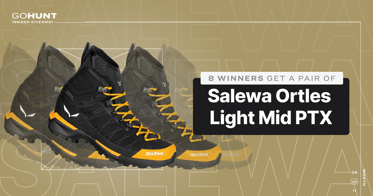 Salewa ortles light online