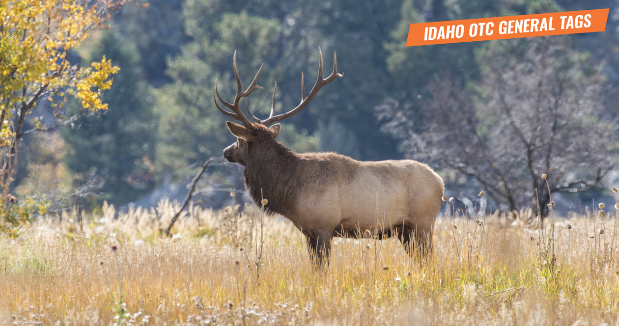 2020 Idaho nonresident OTC hunting tag list // GOHUNT. The Hunting Company