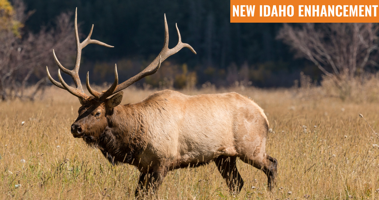 INSIDER Update Idaho elk zones added // GOHUNT. The Hunting Company
