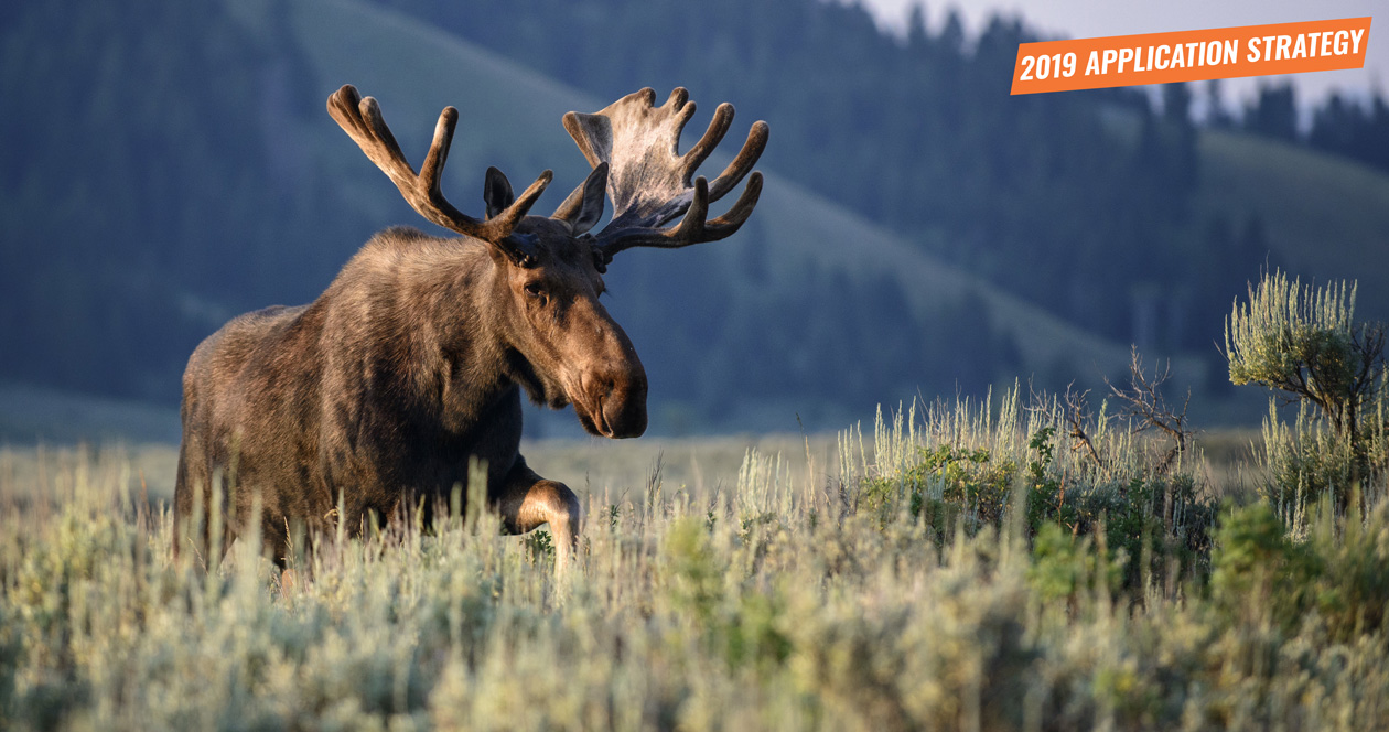 APPLICATION STRATEGY 2019 Idaho Sheep, Moose, Goat // GOHUNT. The