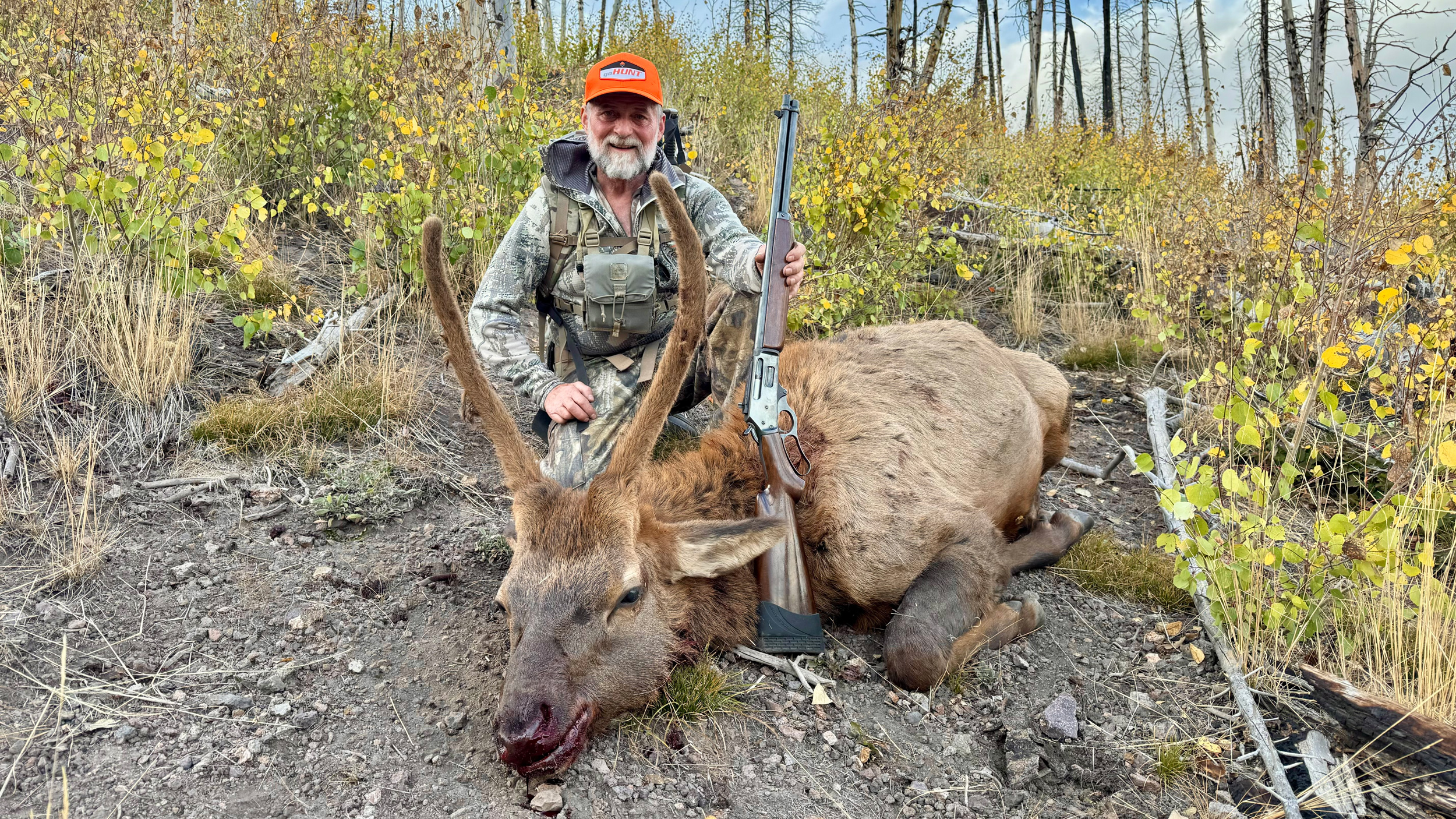Information on Utah's 2025 tag sale for general spike elk hunts ...