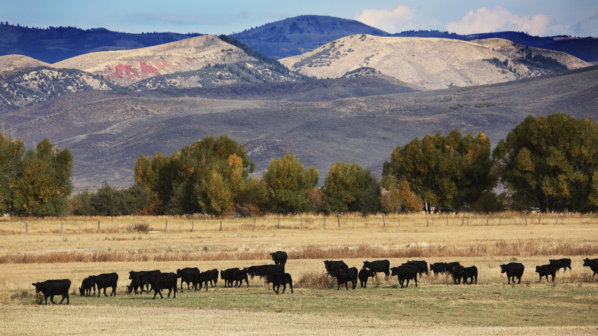 Utah Republicans advance amendment to sell public lands // GOHUNT. The ...