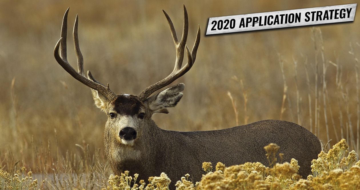 APPLICATION STRATEGY 2020: Colorado Mule Deer // GOHUNT. The Hunting ...