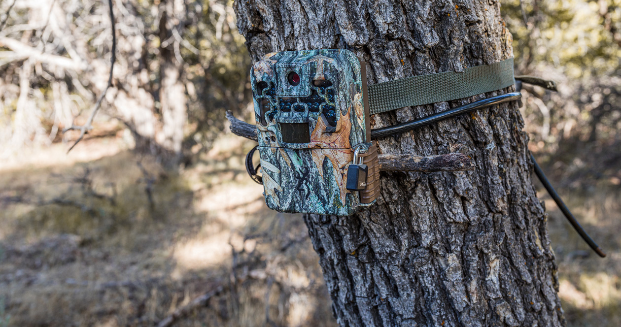 New information on the potential Arizona trail camera ban // GOHUNT