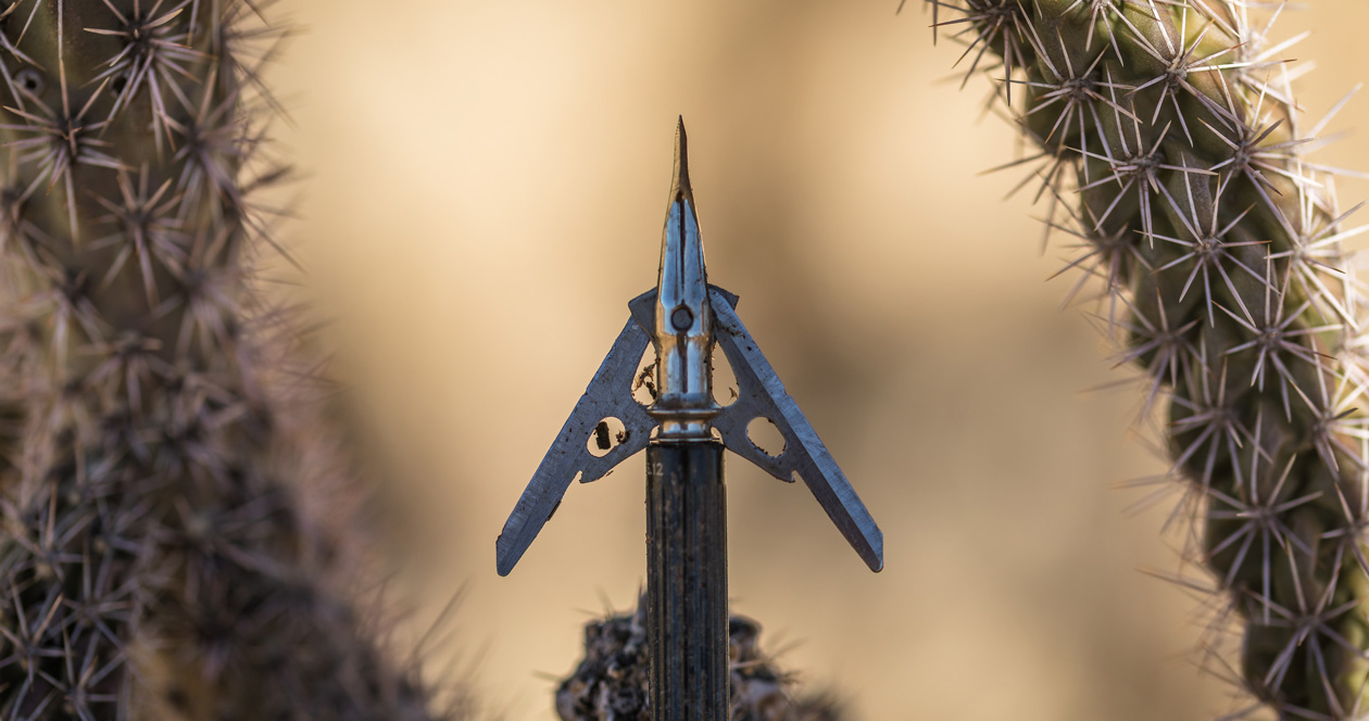 Fixed blade vs. expandable blade broadheads... which is right for you