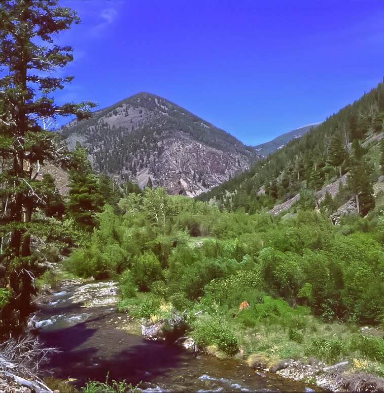 Idaho Unit 37A Unit Profile - 42 Hunters are talking about this Unit ...