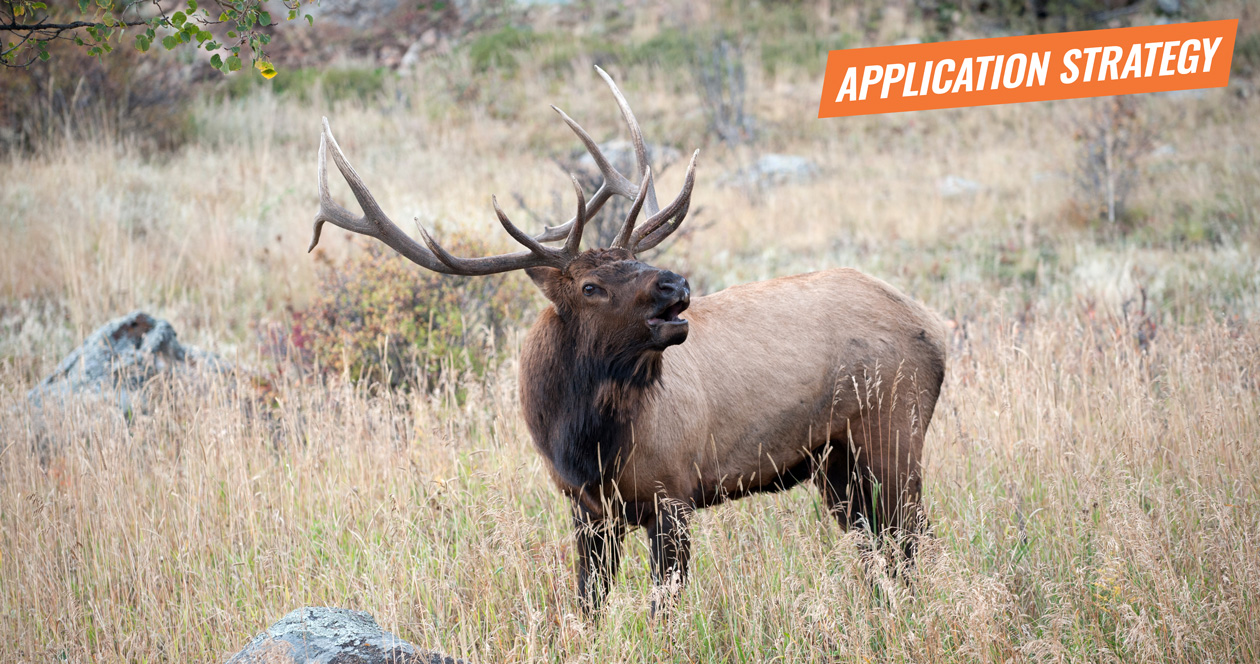 APPLICATION STRATEGY 2018 Nevada Elk // GOHUNT. The Hunting Company