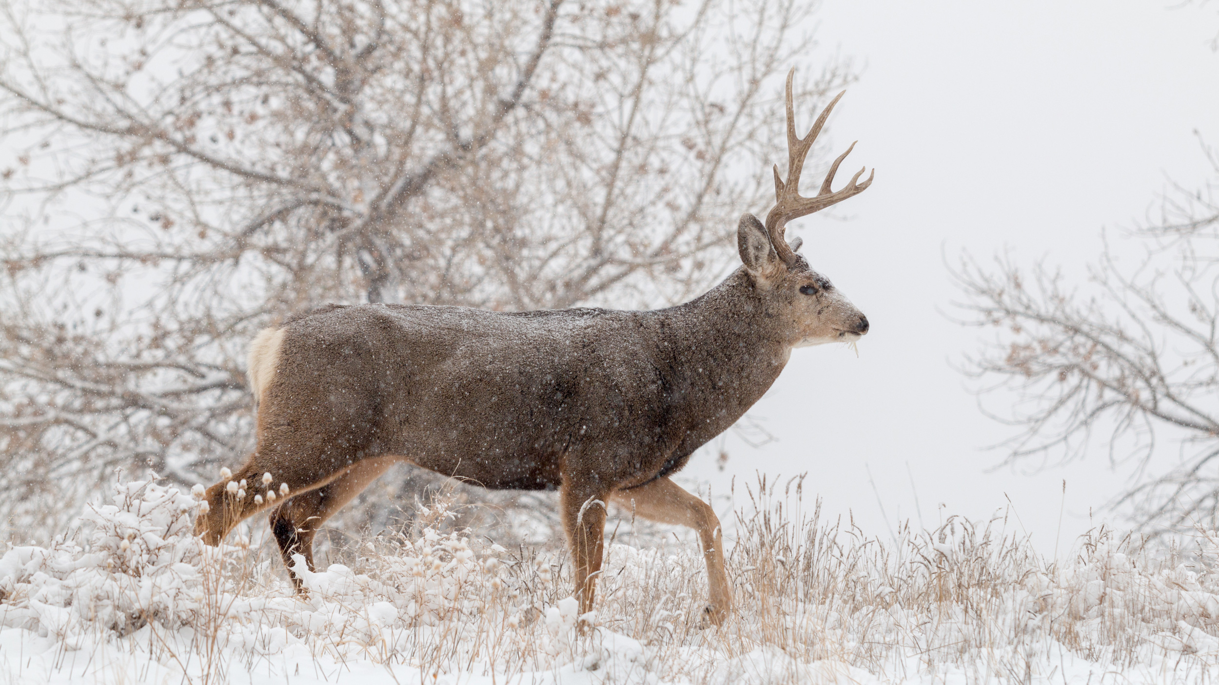 Days 1 \u0026 2: A Day in Badlands National Park - Enjoy the VU Photography LLC, image size:2500x1406