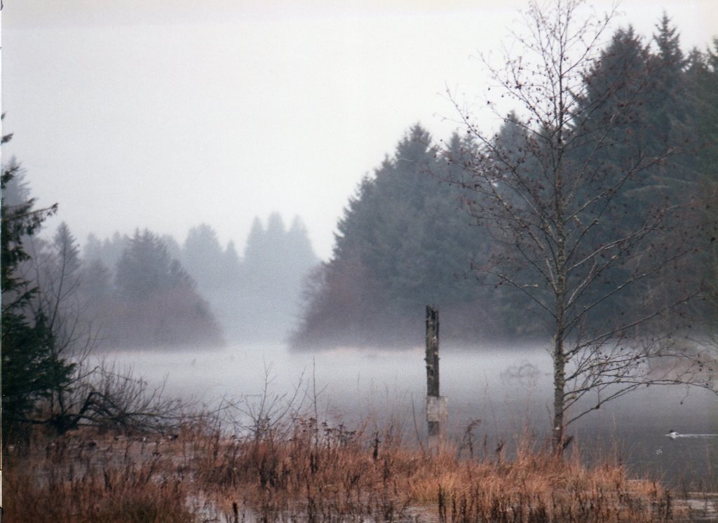 Oregon Unit 12 - Wilson Unit Profile - 12 Hunters are talking about ...