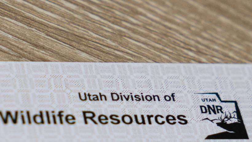 Utah Tag Preparing for my first high country mule deer hunt // GOHUNT. The ...