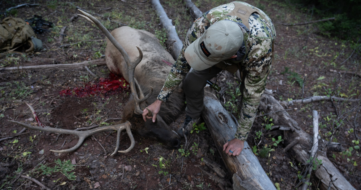 Pre-season elk thoughts and ramblings of Trail Kreitzer // GOHUNT. The  Hunting Company