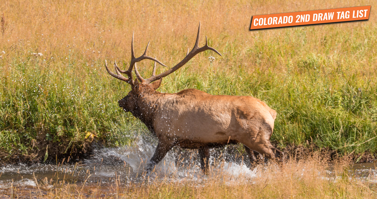 2020 Colorado second draw tag list // GOHUNT. The Hunting Company