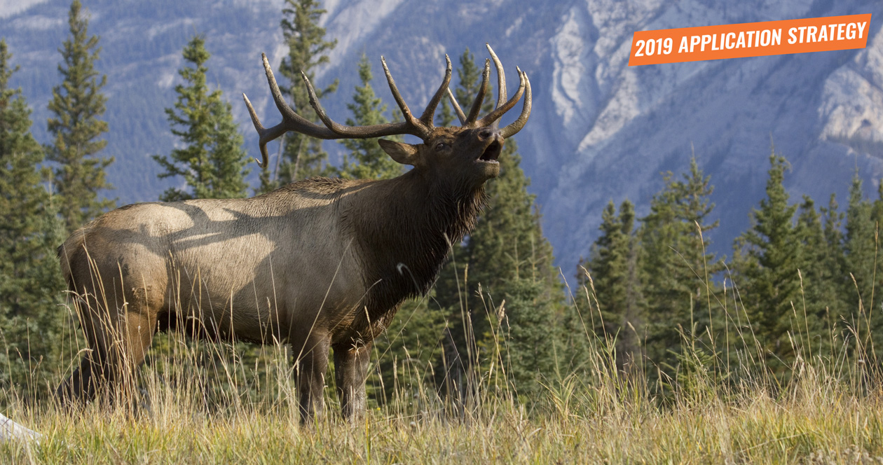 APPLICATION STRATEGY 2019 Idaho Elk // GOHUNT. The Hunting Company