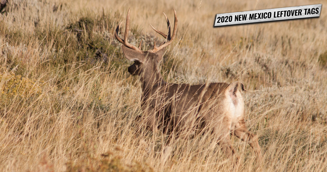 2020 New Mexico leftover permit list // GOHUNT. The Hunting Company
