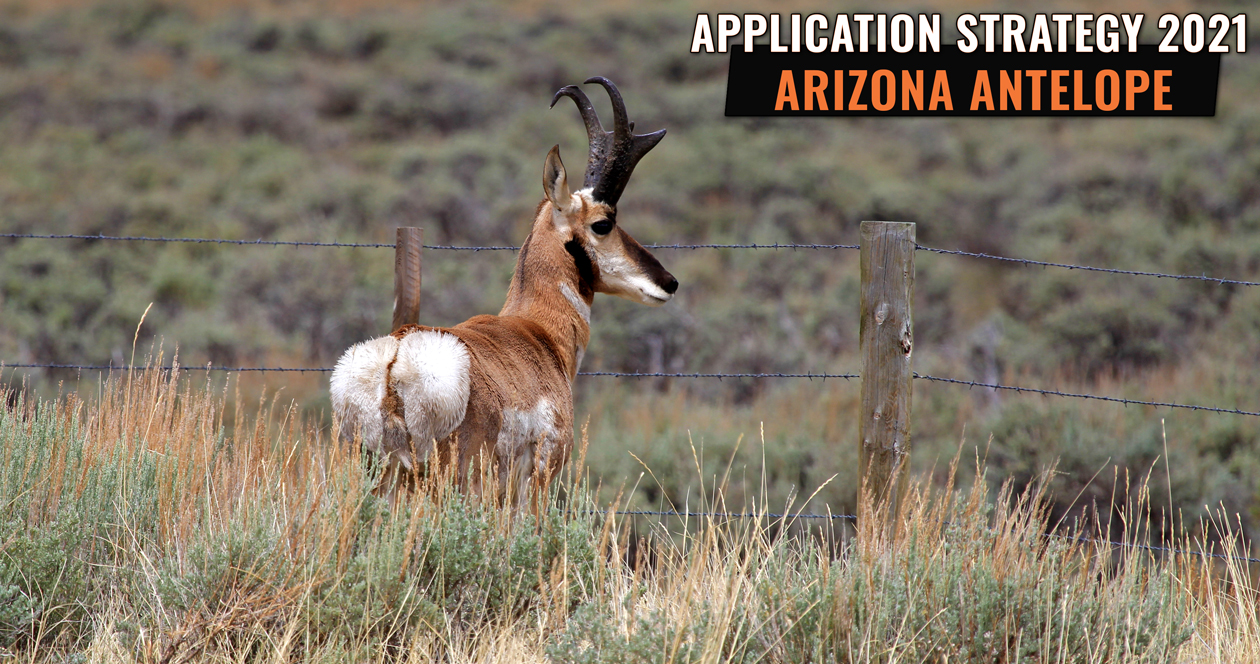 APPLICATION STRATEGY 2021 Arizona Antelope // GOHUNT. The Hunting Company
