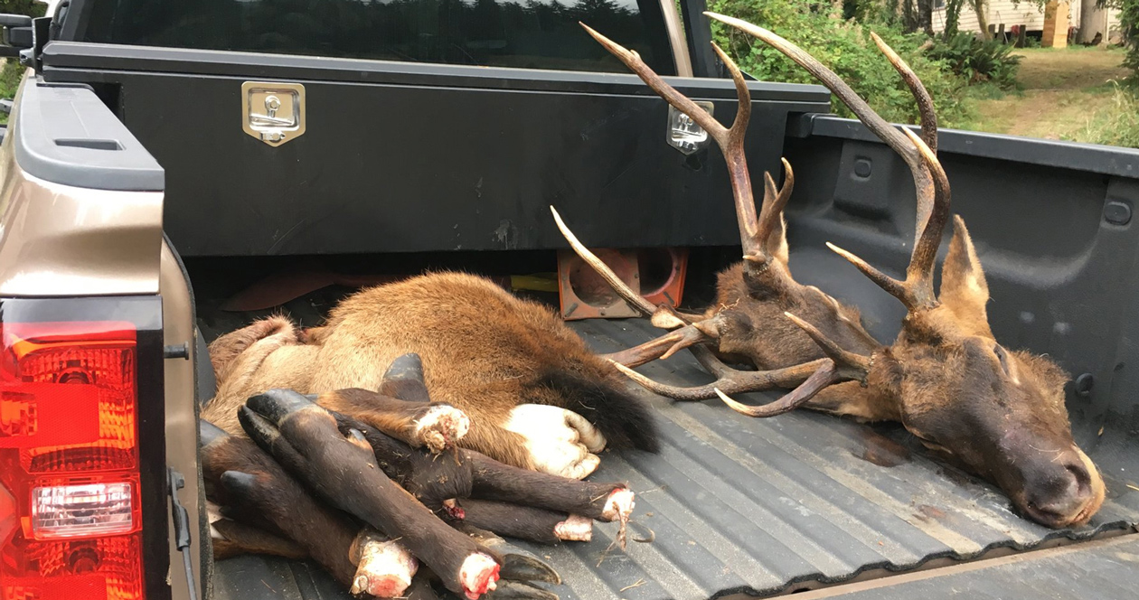 Elk poachers take two bulls before opening day // GOHUNT. The Hunting Company