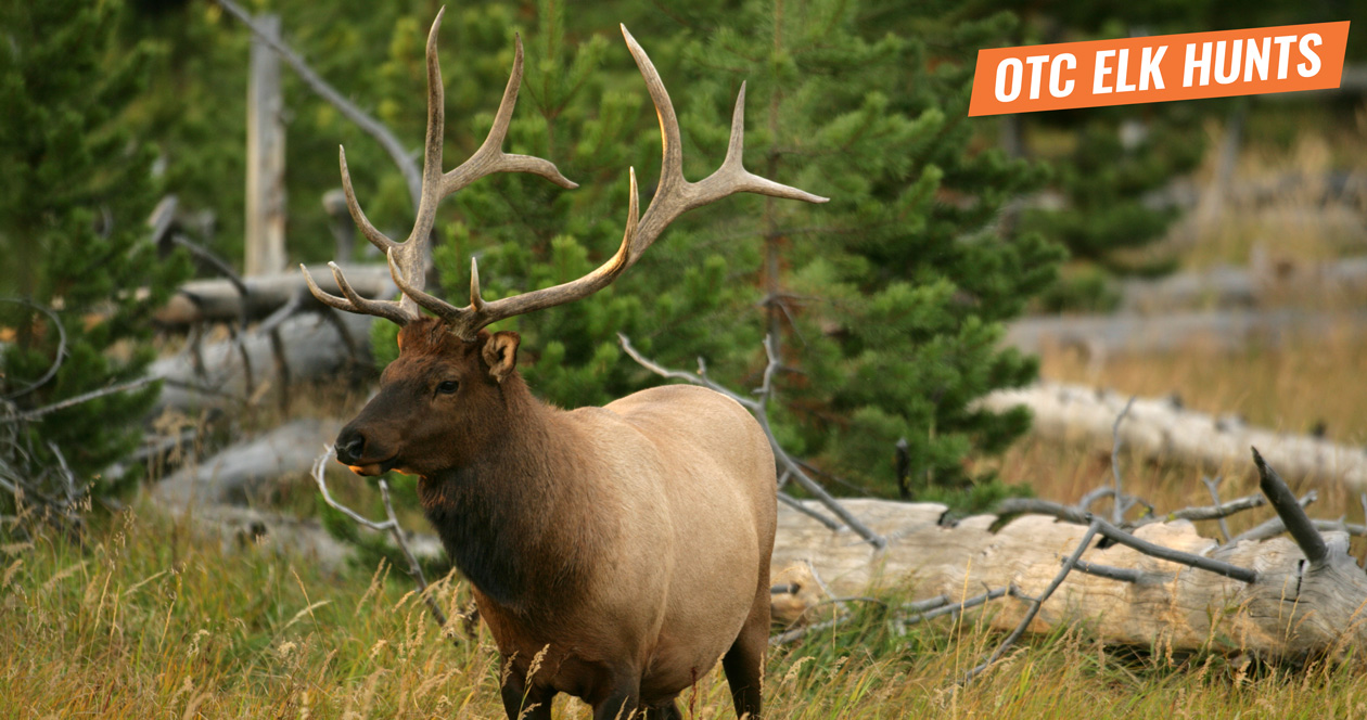 Breakdown of OTC elk hunts in the West // GOHUNT. The Hunting Company