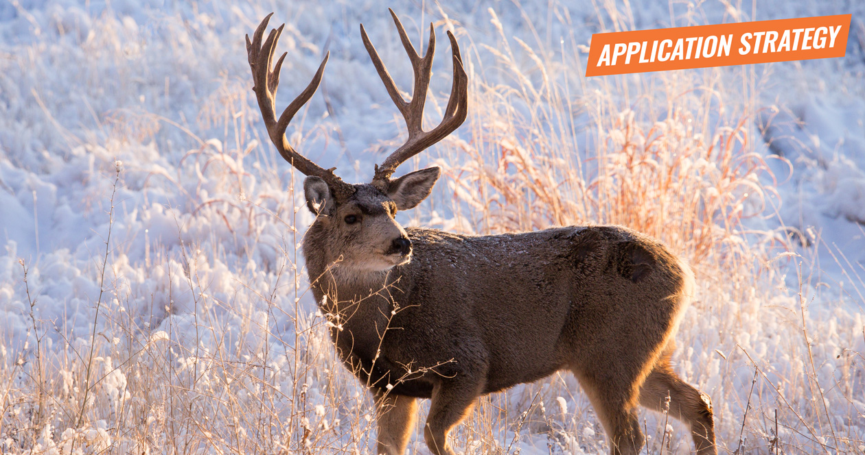 APPLICATION STRATEGY 2018 Wyoming Deer and Antelope // GOHUNT. The