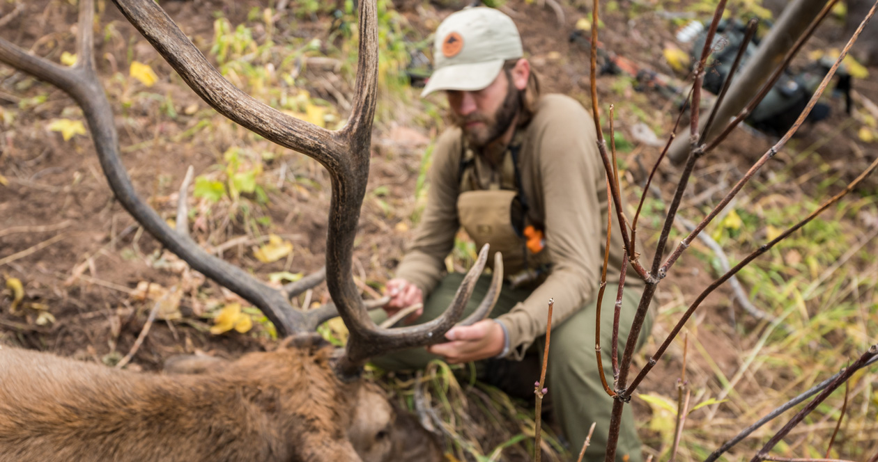 Overview Of Colorado S Elk Hunting Opportunities Gohunt The Hunting Company