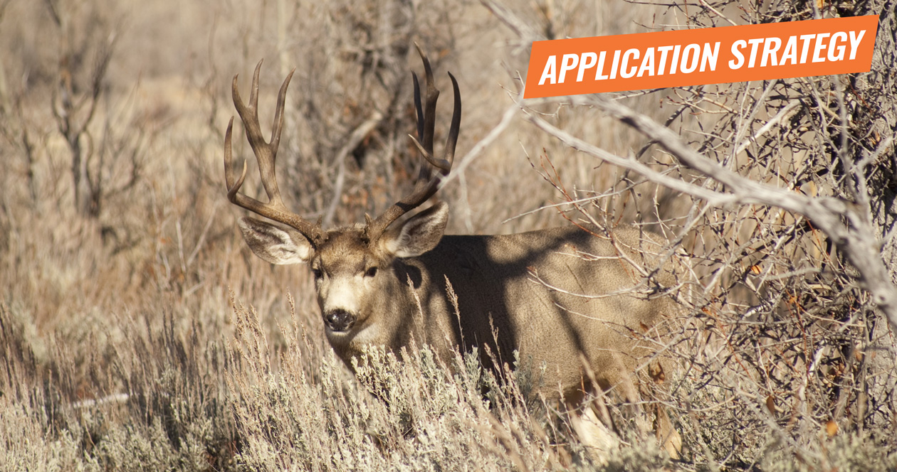 APPLICATION STRATEGY 2018 Montana Deer
