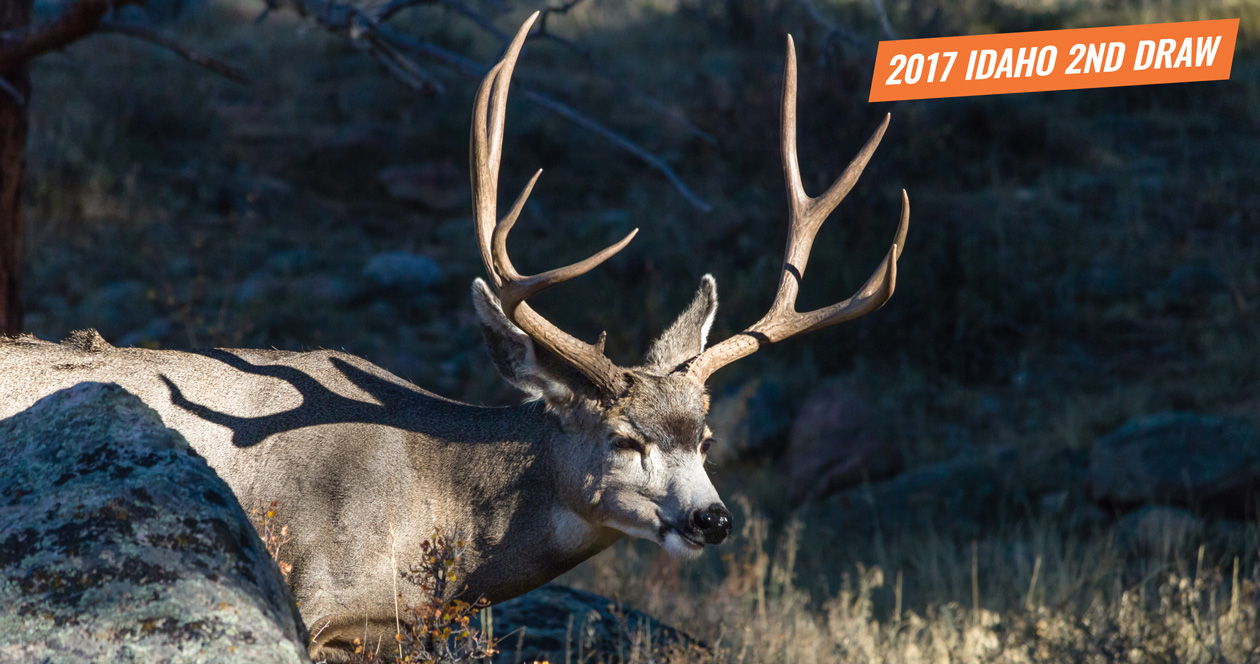 2017 Idaho second controlled hunt drawing list // GOHUNT. The Hunting