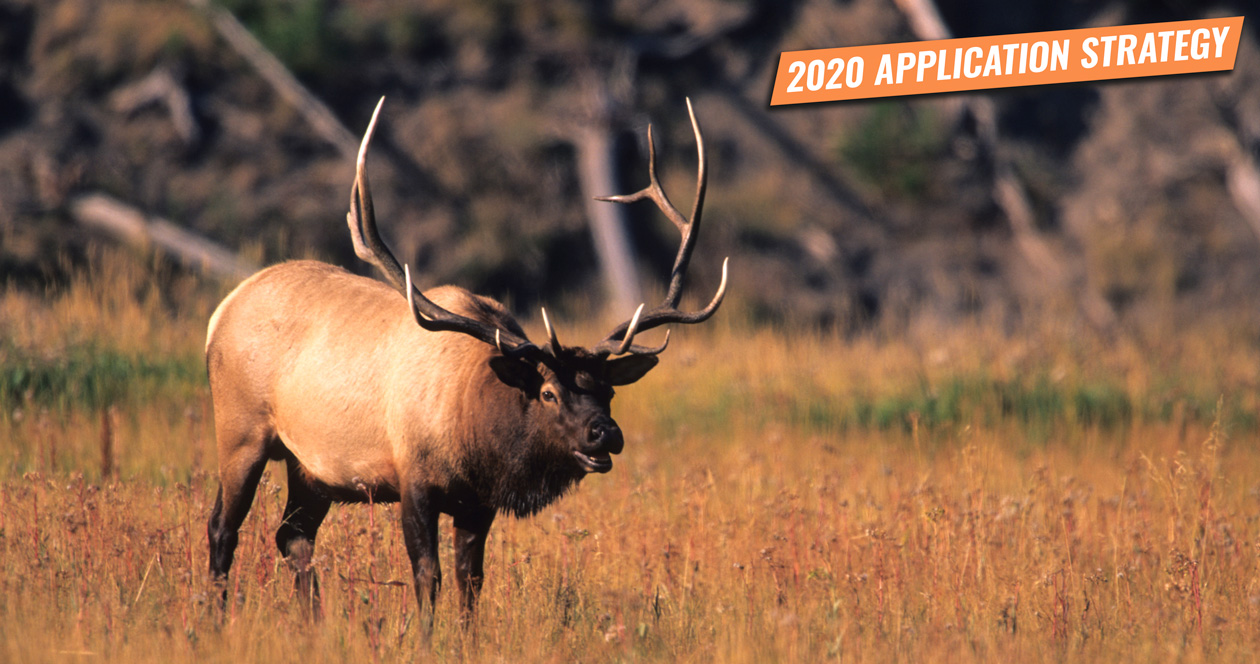 APPLICATION STRATEGY 2020 Montana Elk // GOHUNT. The Hunting Company