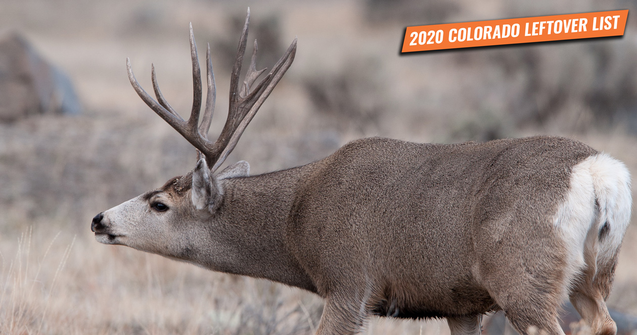 2020 Colorado leftover hunting license list // GOHUNT. The Hunting Company