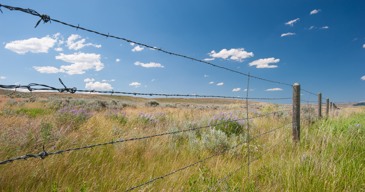 North Dakota makes changes to trespassing laws // GOHUNT. The Hunting
