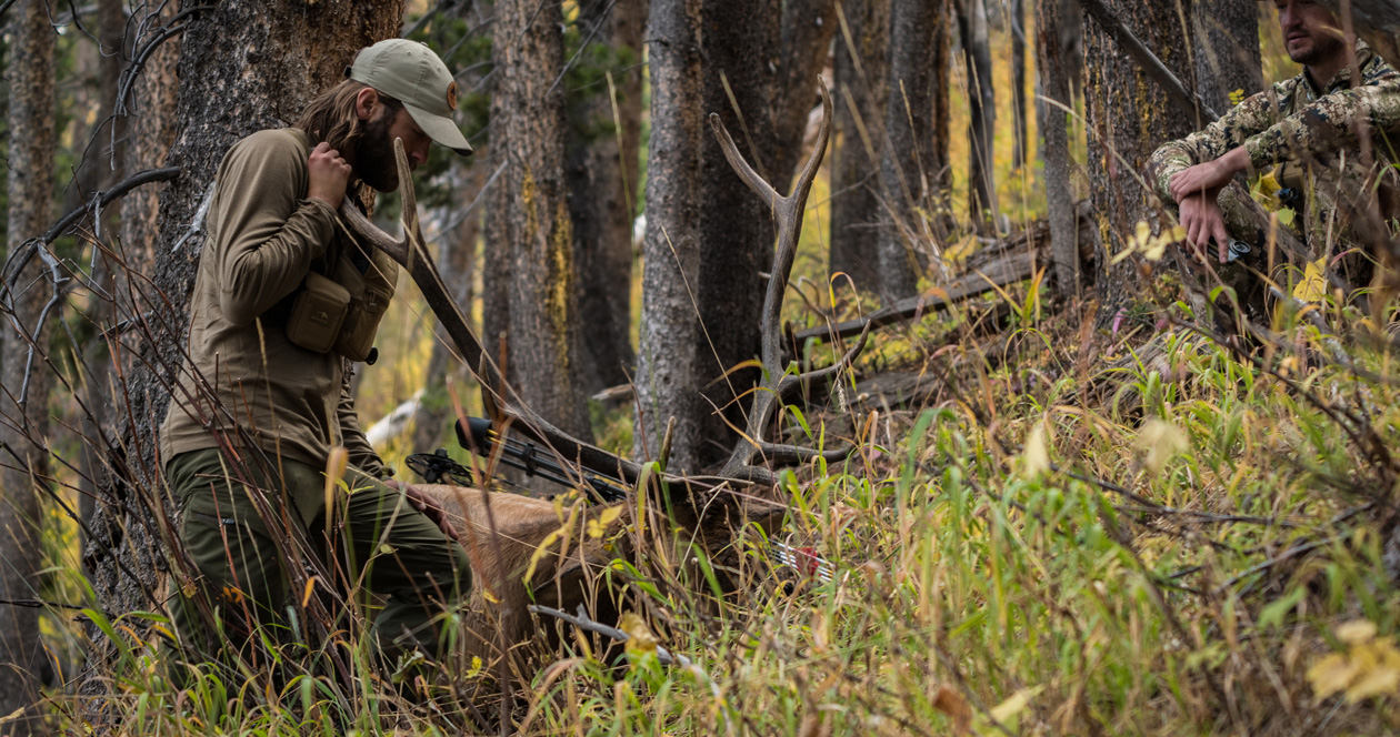 Why You Should Hunt Elk During The Pre-rut Phase // GOHUNT. The Hunting ...