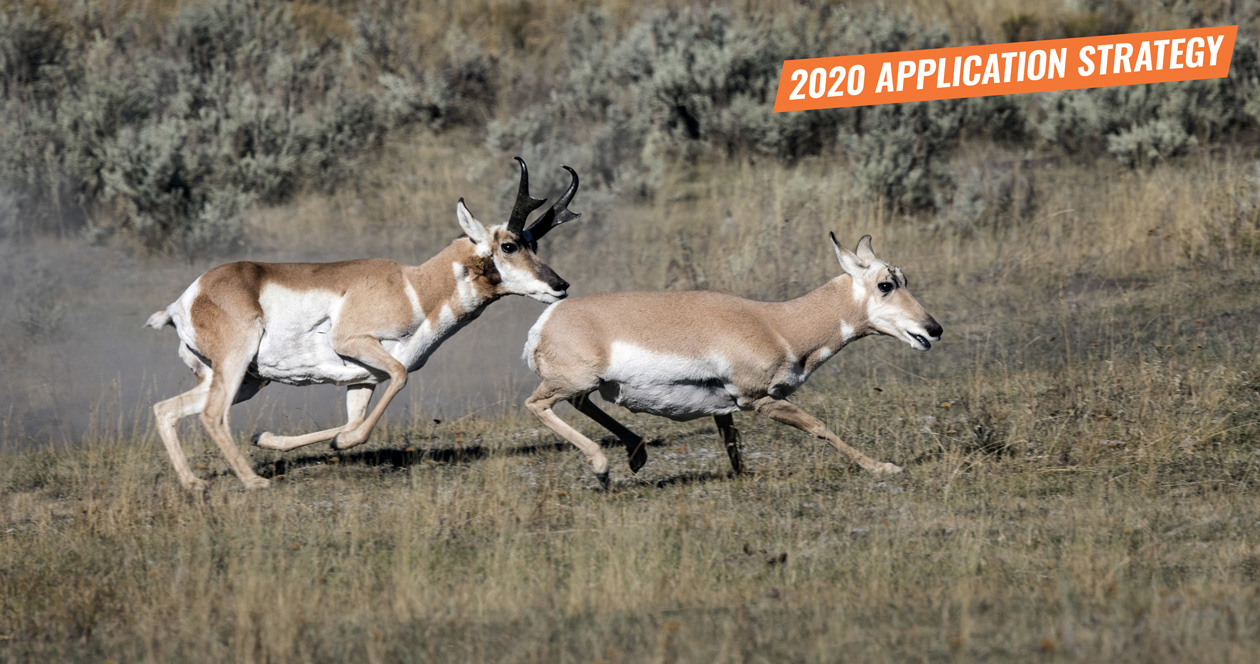 APPLICATION STRATEGY 2020: Arizona Antelope // GOHUNT. The Hunting Company