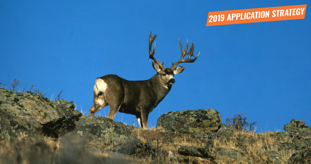 APPLICATION STRATEGY 2019 Wyoming Deer and Antelope // GOHUNT. The