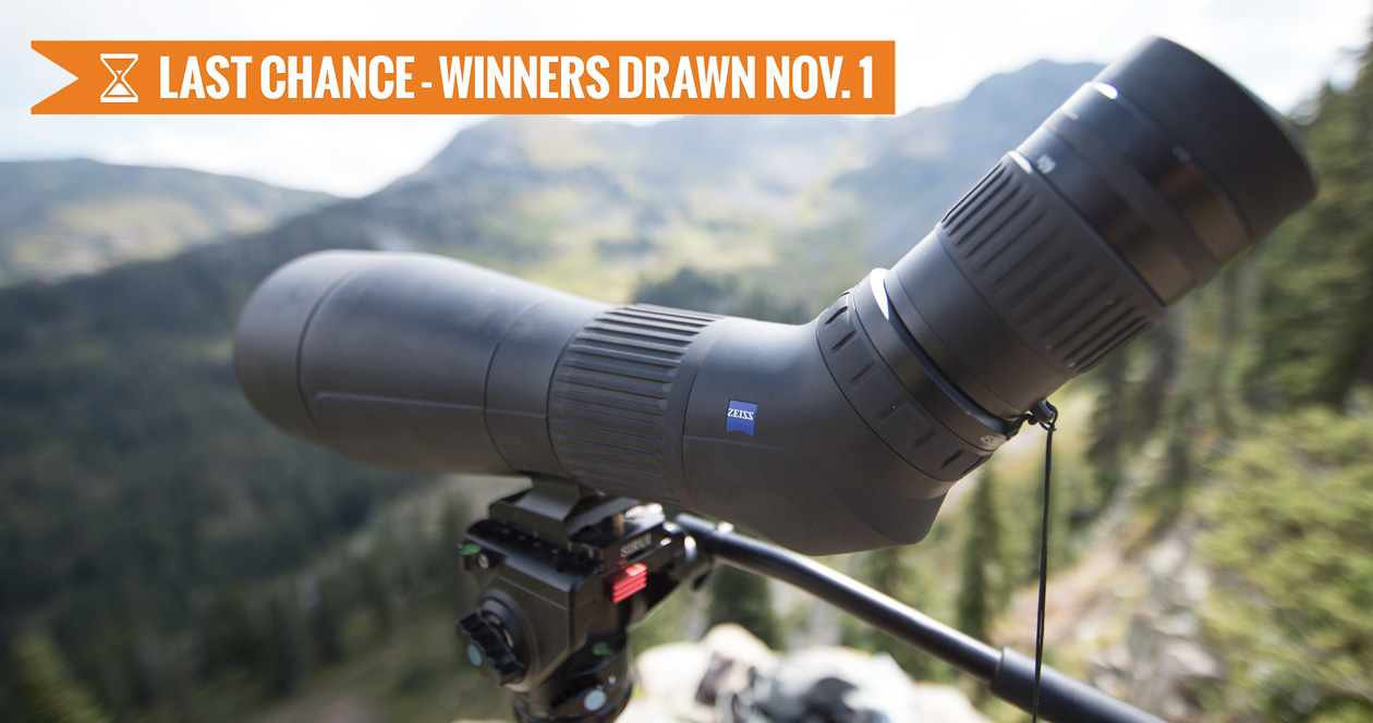 October INSIDER Giveaway 3 Zeiss Conquest Gavia Spotting Scopes