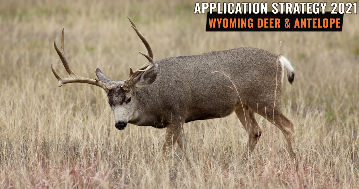 APPLICATION STRATEGY 2021 Wyoming Deer and Antelope // GOHUNT. The