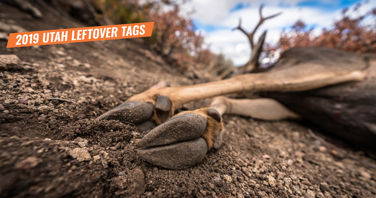 2019 Utah Leftover Hunting Permit List // GOHUNT. The Hunting Company