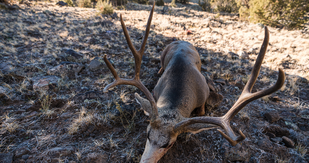 2022 Western big game hunting application deadlines // GOHUNT. The