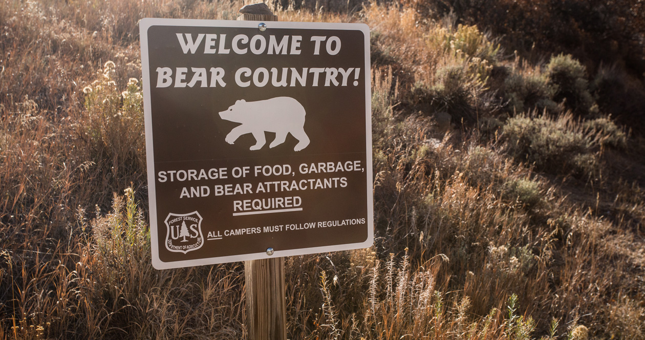 How to camp safely in grizzly bear country // GOHUNT. The Hunting Company