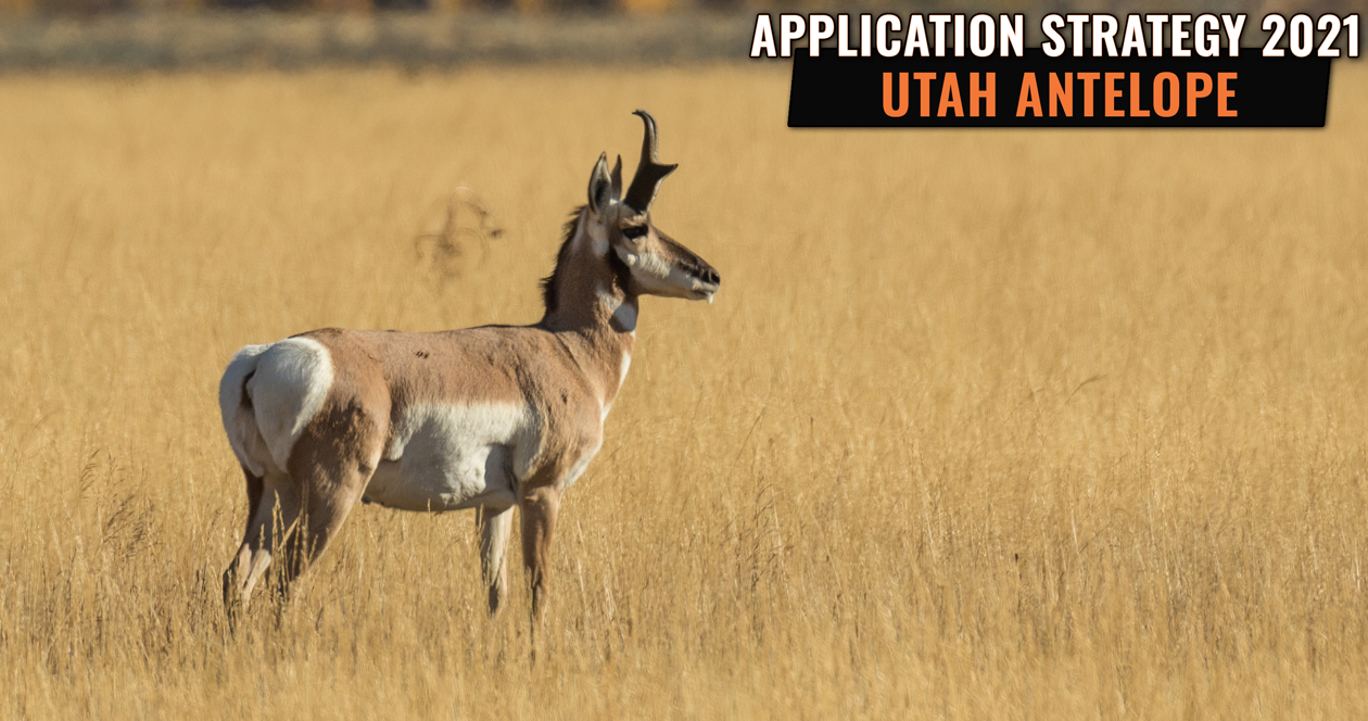 APPLICATION STRATEGY 2021 Utah Antelope