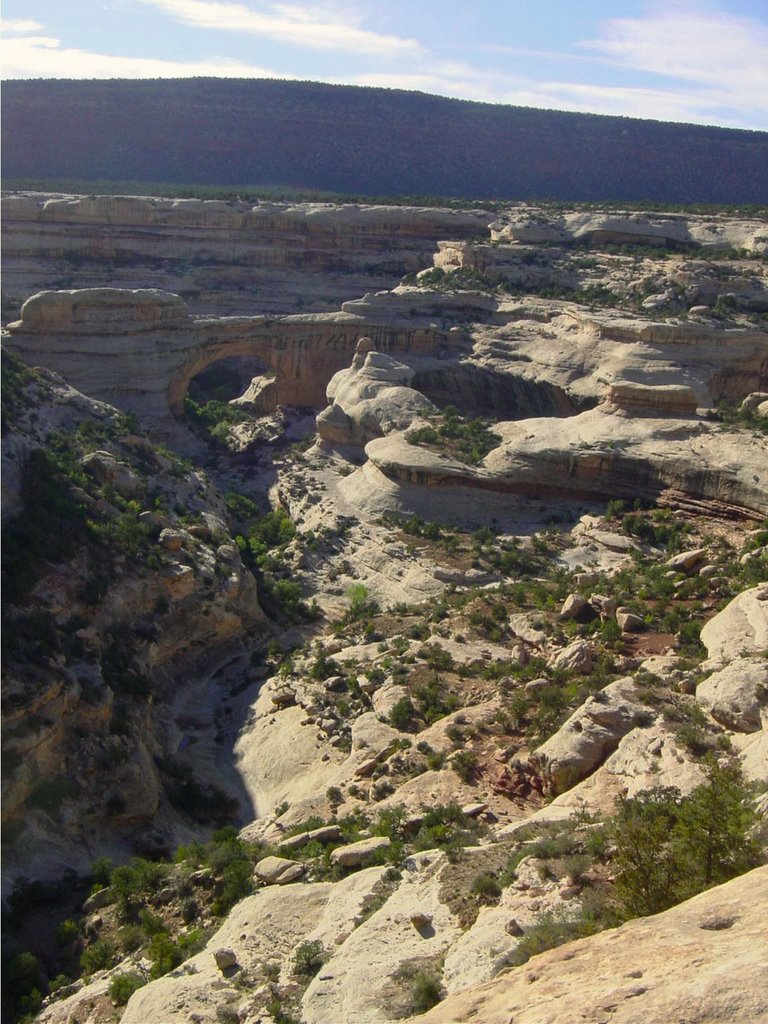Utah San Juan, Elk Ridge Unit Profile - 9 Hunters are talking about ...