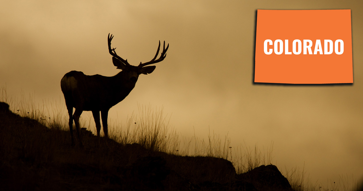 How to look up your Colorado preference points // GOHUNT. The Hunting