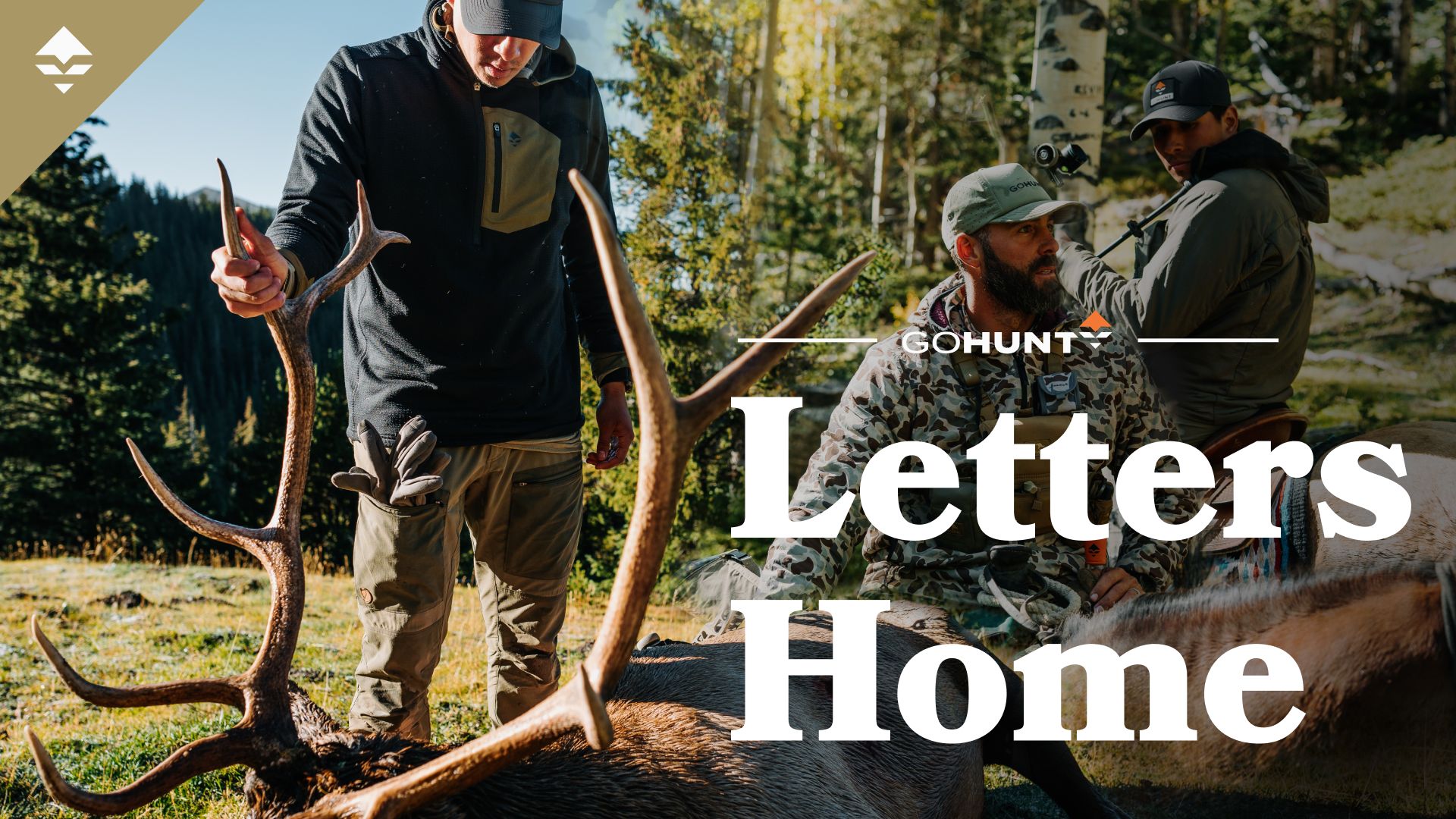 Bowhunting Elk Above Timberline - Letters Home // GOHUNT. The Hunting ...