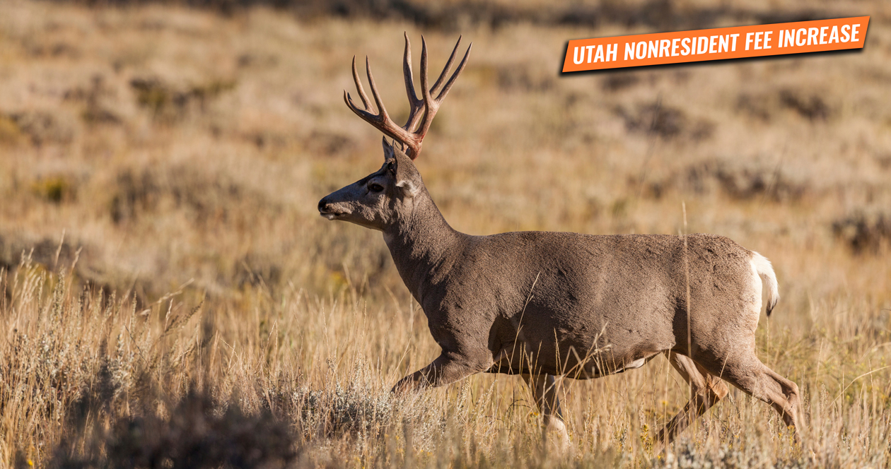 Utah increases nonresident hunting fees for 2020/2021 // GOHUNT. The