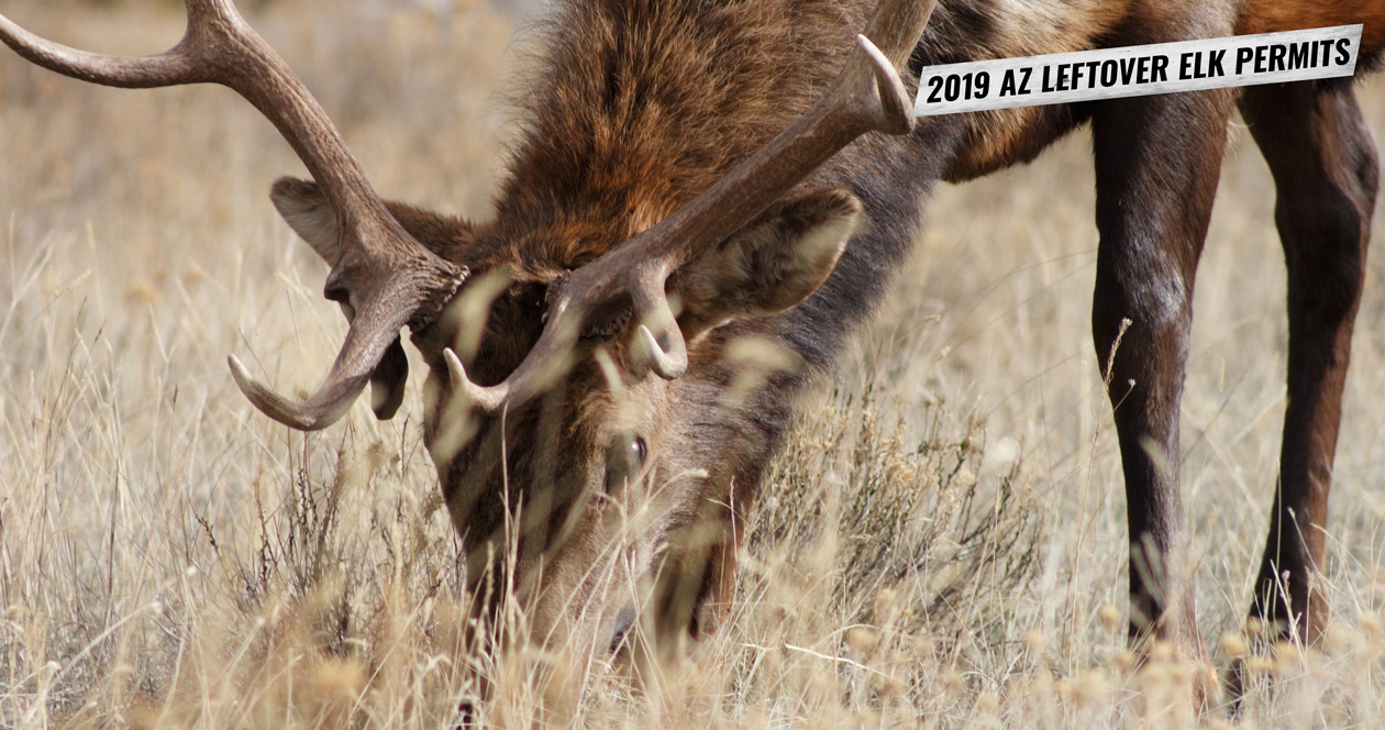 2019 Arizona leftover elk hunting permit list // GOHUNT. The Hunting