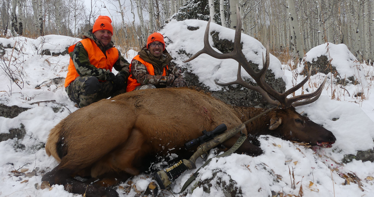 An OTC Colorado bull elk hunt // GOHUNT. The Hunting Company